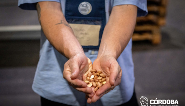 CÓRDOBA CONSOLIDA MODELO DE CLÚSTERES PARA IMPULSAR LA PRODUCCIÓN