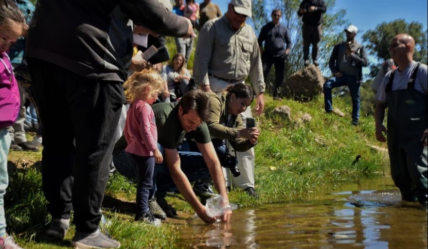 SIEMBRAN DORADOS EN EL RÍO CTALAMOCHITA RESCATADOS EN SAN MARCOS SUD