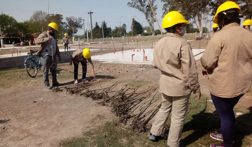JUSTINIANO POSSE: 46 árboles fueron plantados en barrio Cáritas