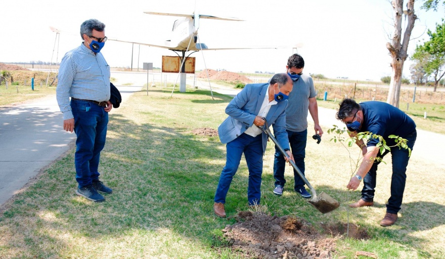 BELL VILLE: Fundación Ecosud voló alto plantando árboles en el aeródromo local